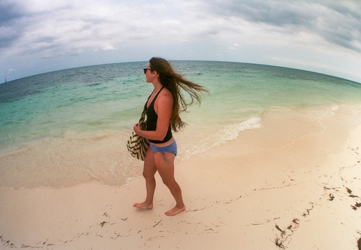 Lonely beach